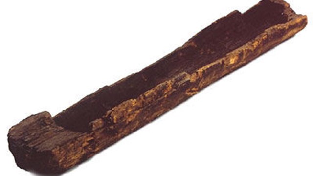 Boomstamkano in Pesse