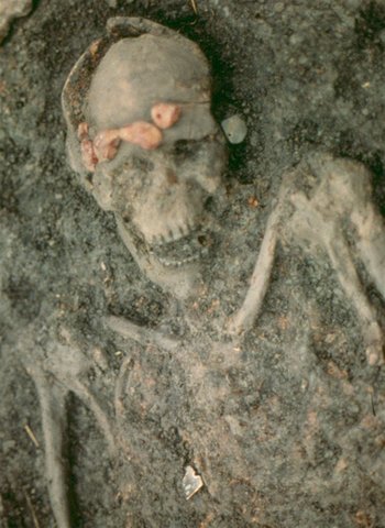 De hoofdman van Swifterbant