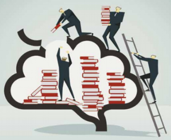 Derecho al Acceso a la Información (DAI)