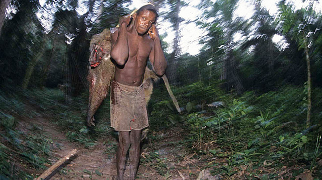 Transmisión del "VIS" a humanos.