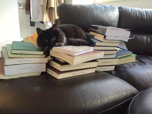 Reading with my daughter now...