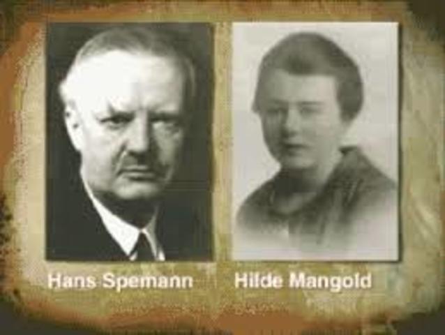 Hans Spemann y Hilde Mangold