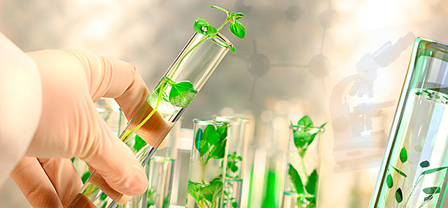 Revolução Verde: Embrapa