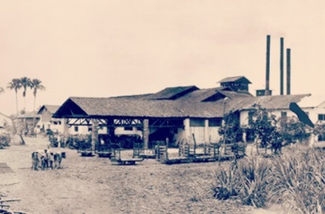 NUEVA FABRICA DE VAPOR