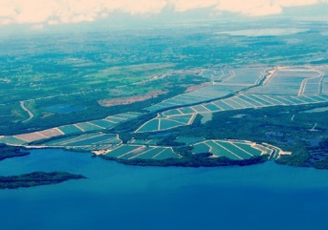 AMPLIACIÓN PORTAFOLIO