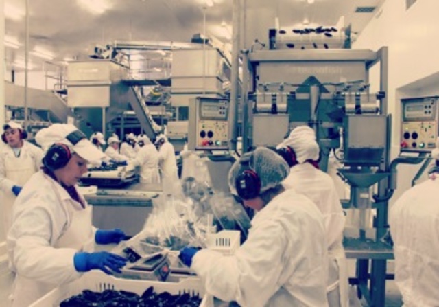 PLANTA DE MEJILLONES - CHILE