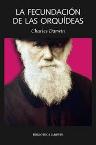 Polinización de orquídeas - Darwin
