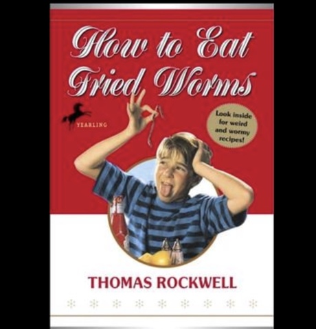 My first chapter book