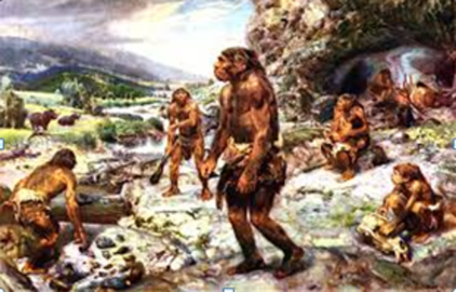 Descubrimiento de restos de neandertales