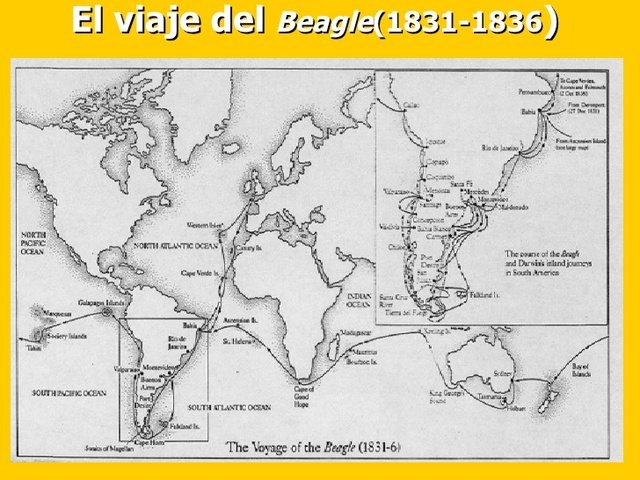 Viaje de Beagle