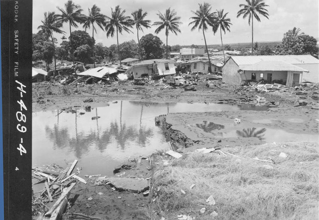 Tsunami hawaii twitter