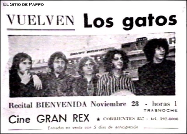 disolución de los gatos salvajes