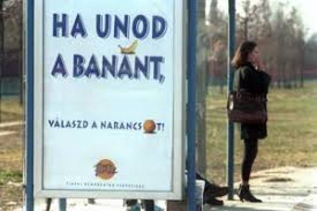 1994-es választások