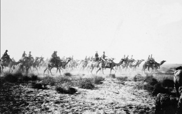 Camel Corps