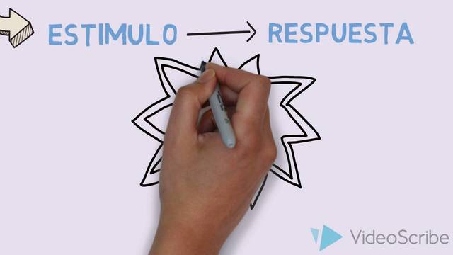 Condicionamiento clásico