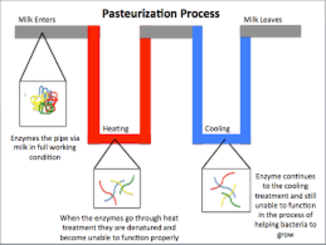 Louis Pasteur and Pasteurization