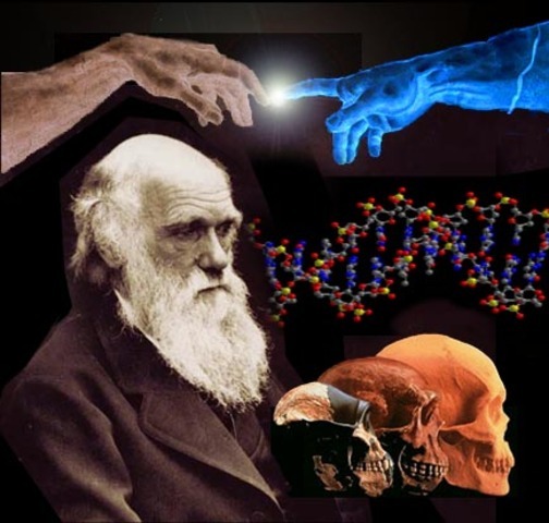 Darwin y "el orden de las especies"