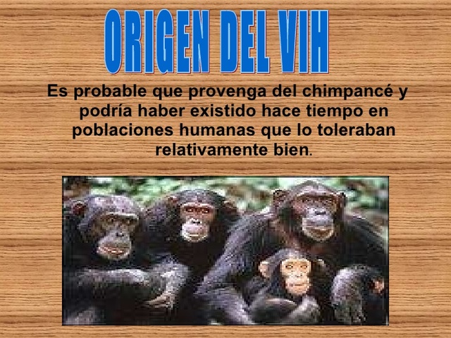 infinforman el descubrimiento de VIH 1 en una subespecie del chimpancé