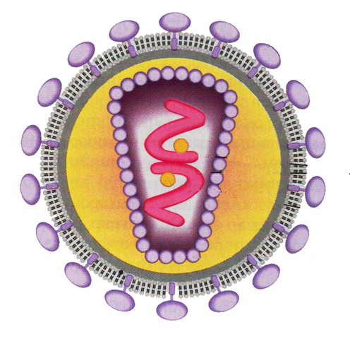 RETROVIRUS