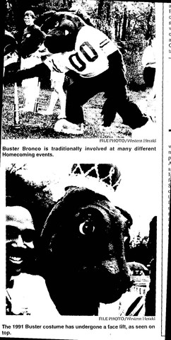 Search for a new Buster