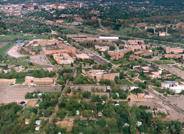 More Green, Less Grey