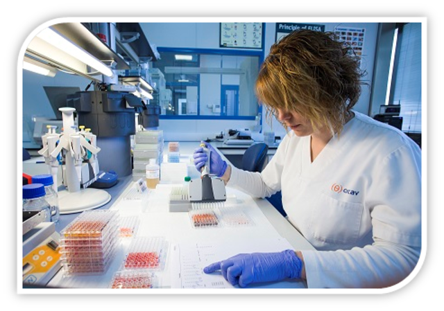 CONSIDERACIÓN DE LA PRIMERA CURA