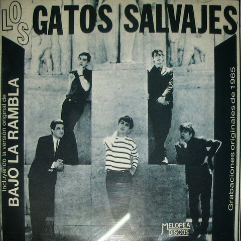 Llegan los gatos salvajes