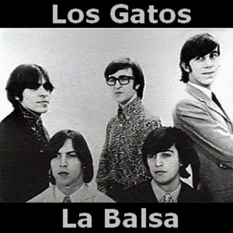 Primer estocada de los gatos y Niebbia