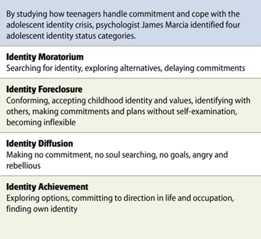 Identity Status Categories Ch.11 Sec.3