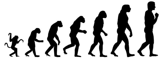 Evolutionen