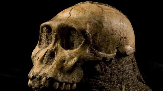 Archeologen vinden resten van een klein mensenachtig wezen in Ethiopië.