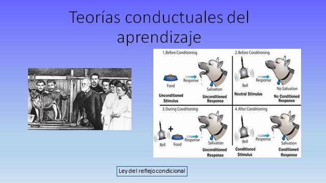 Condicionamiento clásico