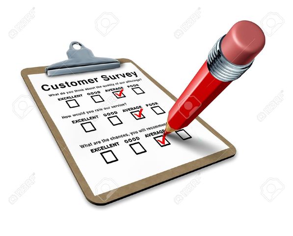 A vizsgálat megszervezése