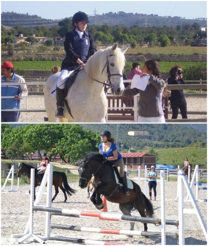 Comença la meva aventura al món dels cavalls