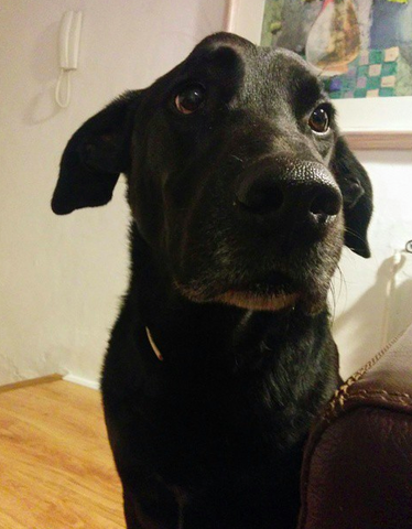 Un regal molt esperat