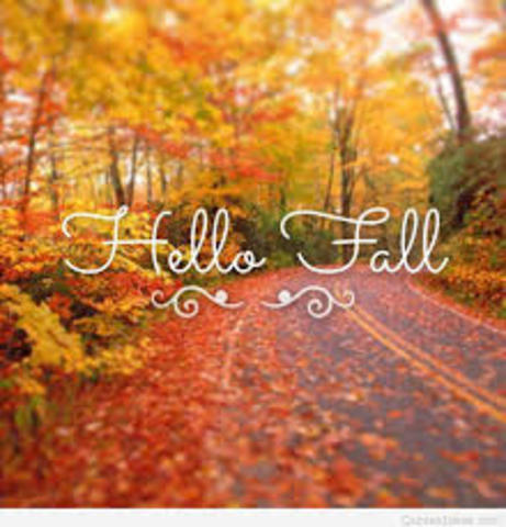 Fall