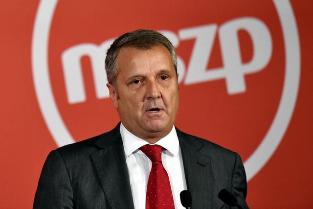 Molnár Gyula pártelnöksége