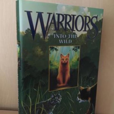 My very 1st book (Warriors: Into the Wild)