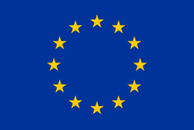 2009-es EU Parlamenti választások és a bukás