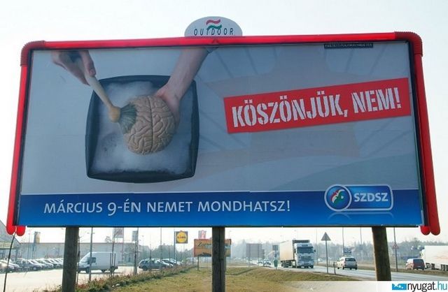 Szociális Népszavazás