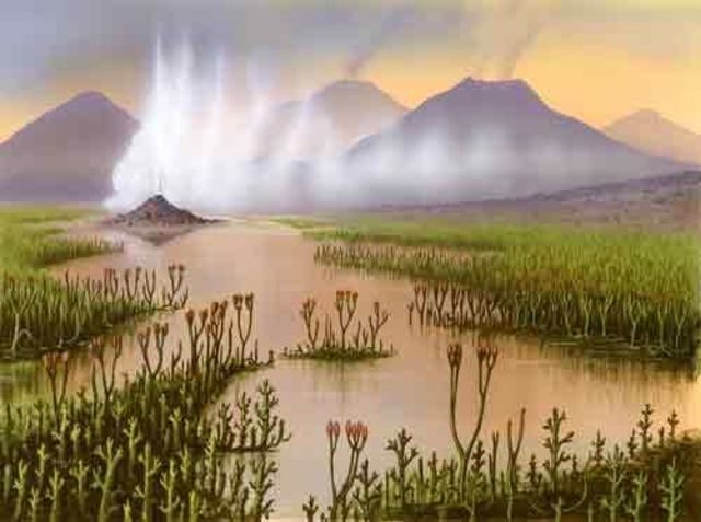 Primera evidencia definitiva de plantas terrestre