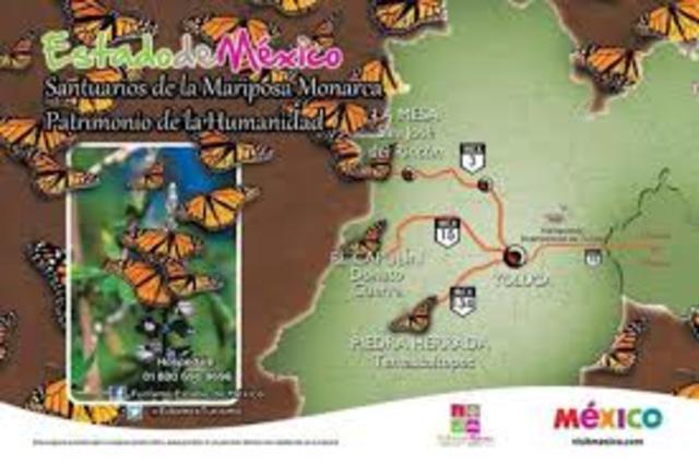 ANALISIS DE INDICADORES FODA