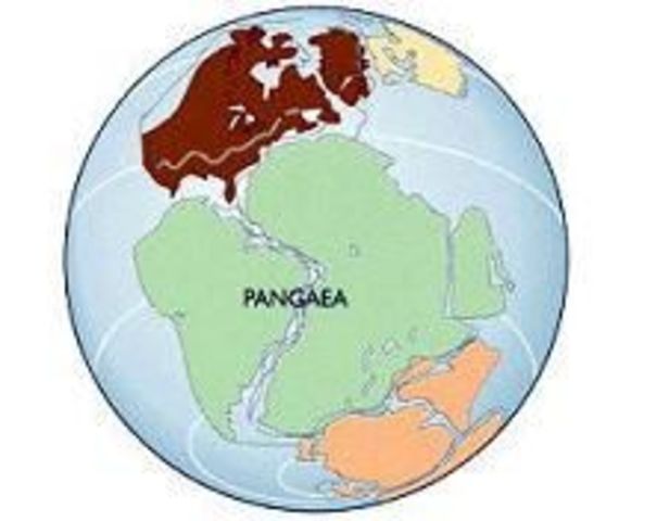 Pangea