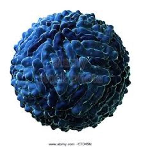 Alex becomes an orphan