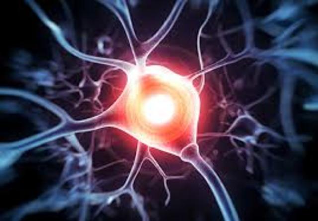 The Cholera Epidemic