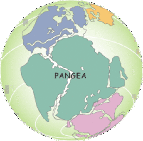 Empieza la separación de Pangea