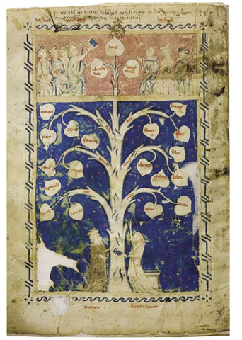 Arbre de la filosofia de l'amor