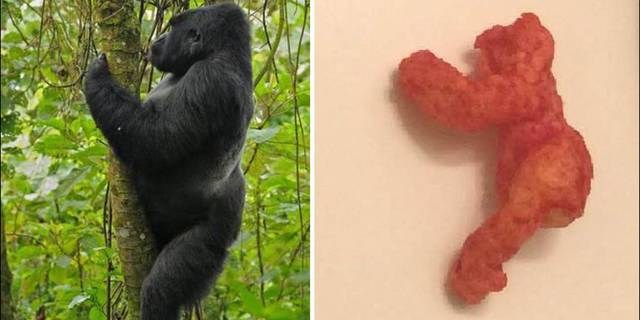 Harambe Cheeto