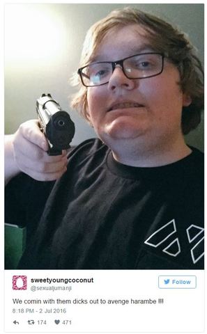 Dicks out for Harambe