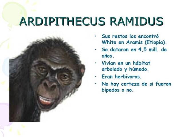 Australopithecus ramidus